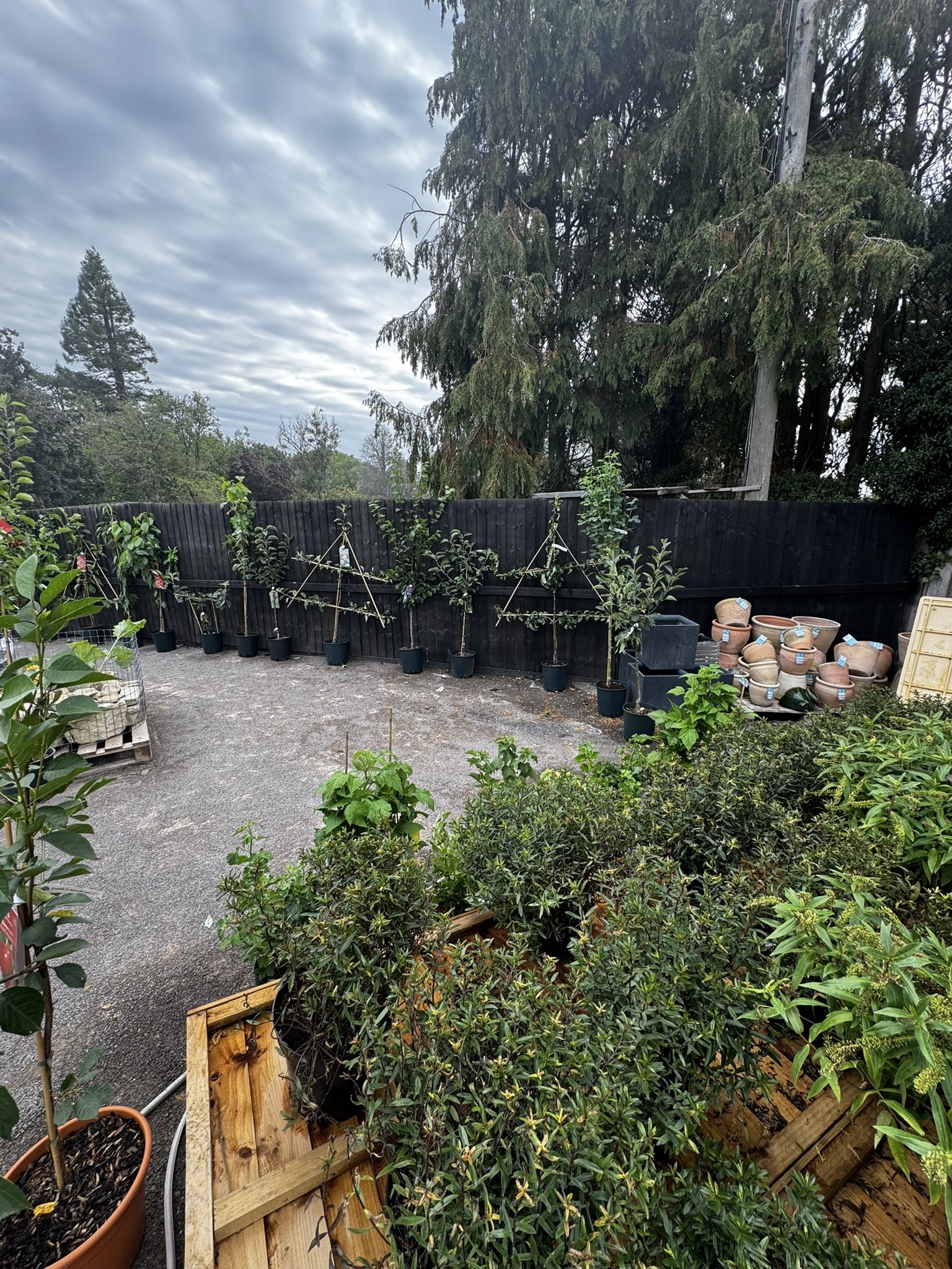 Plant area